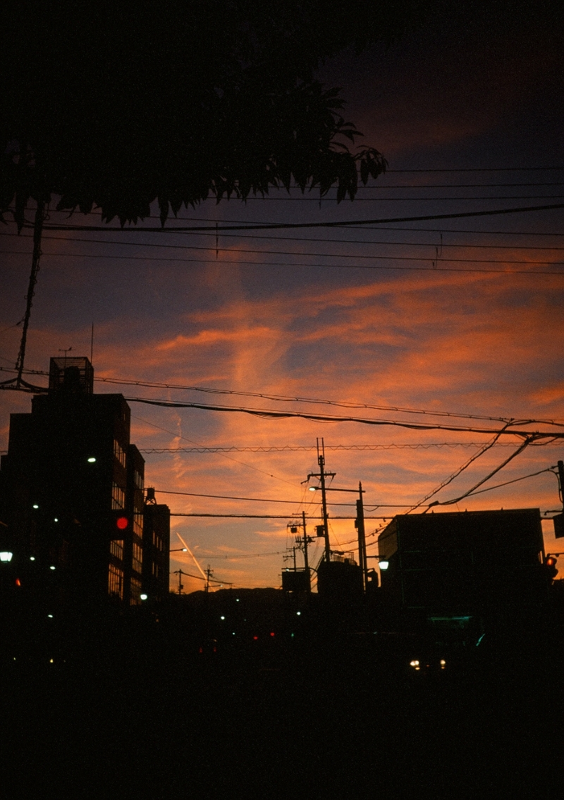 写真31